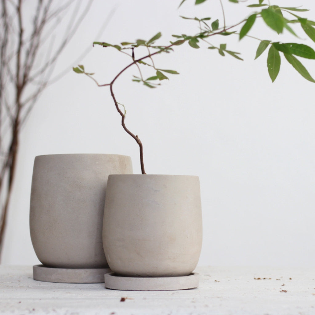 Modern Concrete Planter Pots (Set of 2)