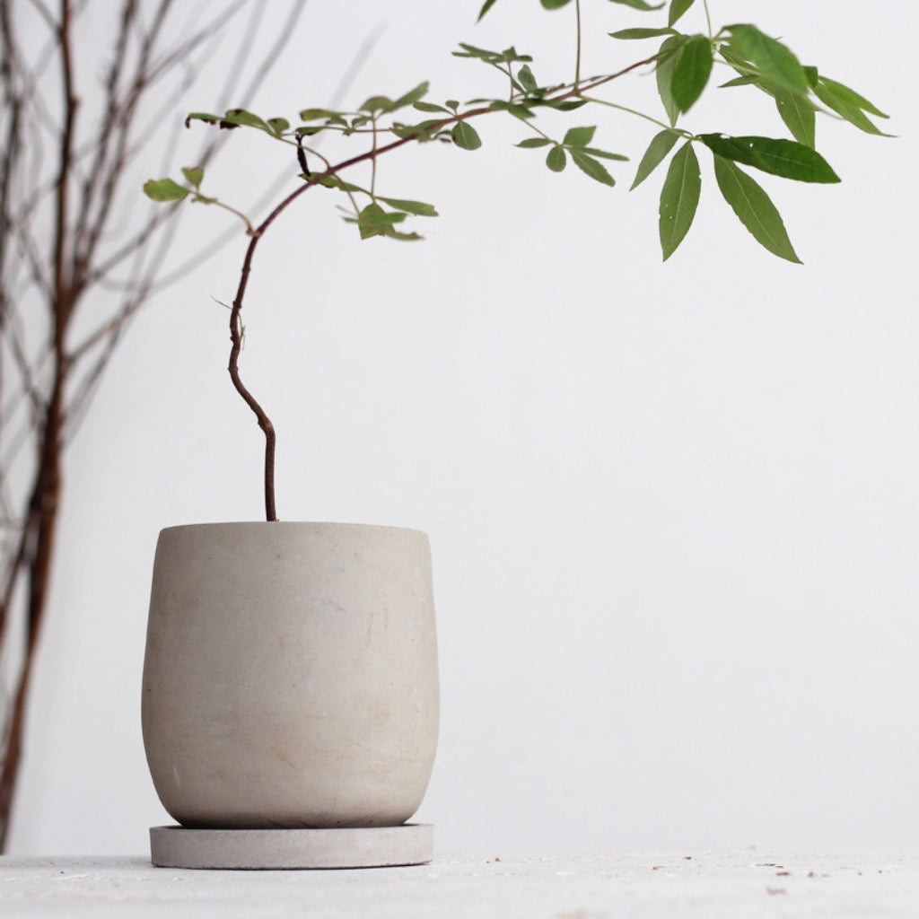 Modern Concrete Planter Pots (Set of 2)