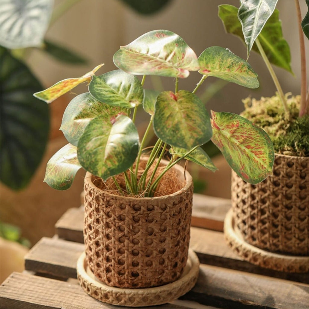 Woven Cane Garden Planter Pots (Set of 2)