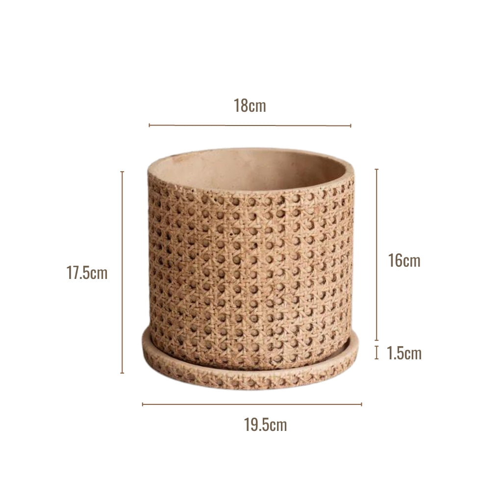 Woven Cane Garden Planter Pots (Set of 2)