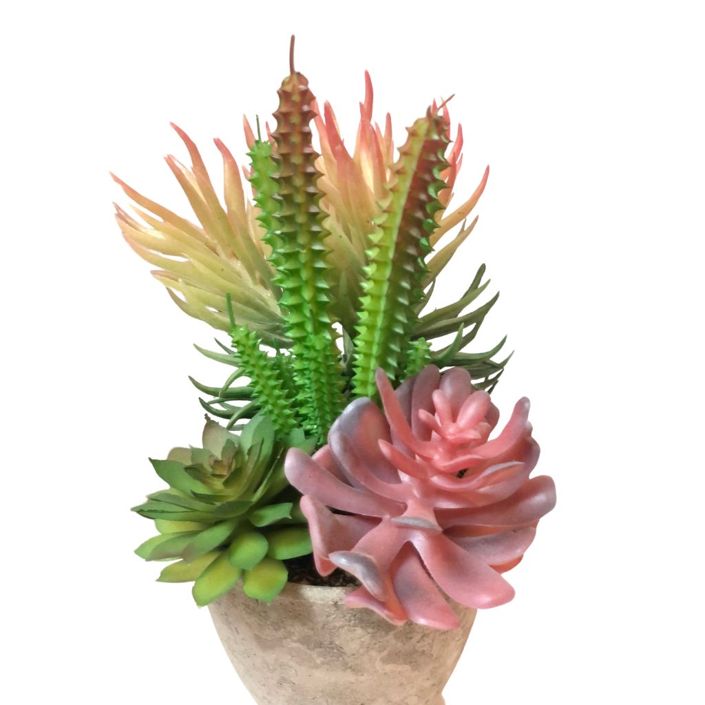 Artificial Potted Succulent Plants