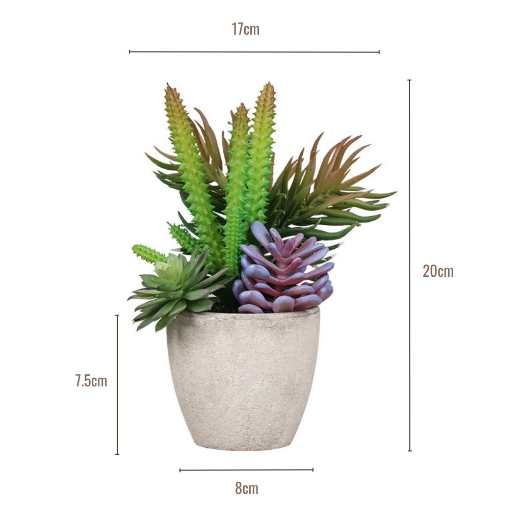 Artificial Potted Succulent Plants