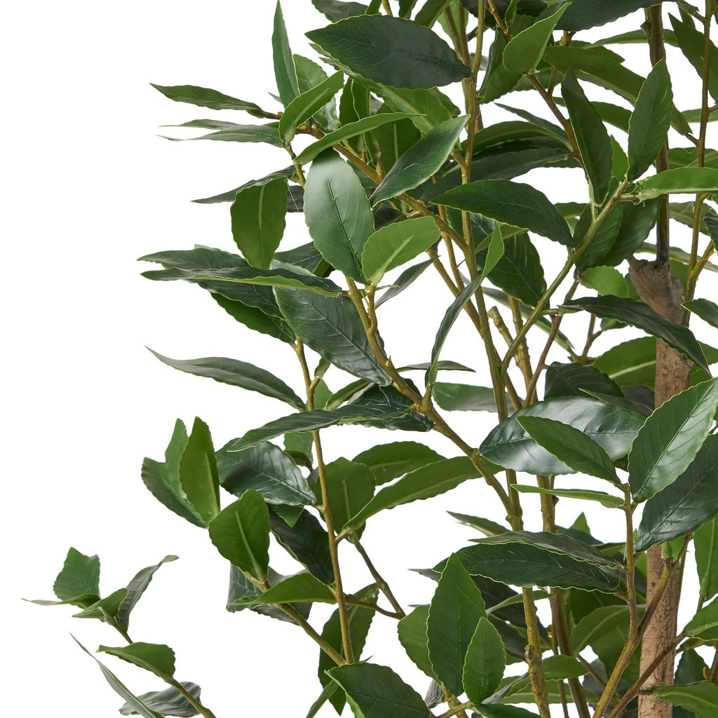 Atoka 4' x 1.5' Artificial Laurel Tree