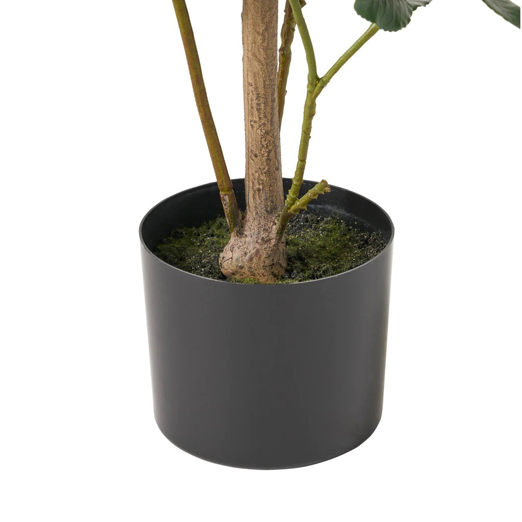 Atoka 4' x 1.5' Artificial Laurel Tree