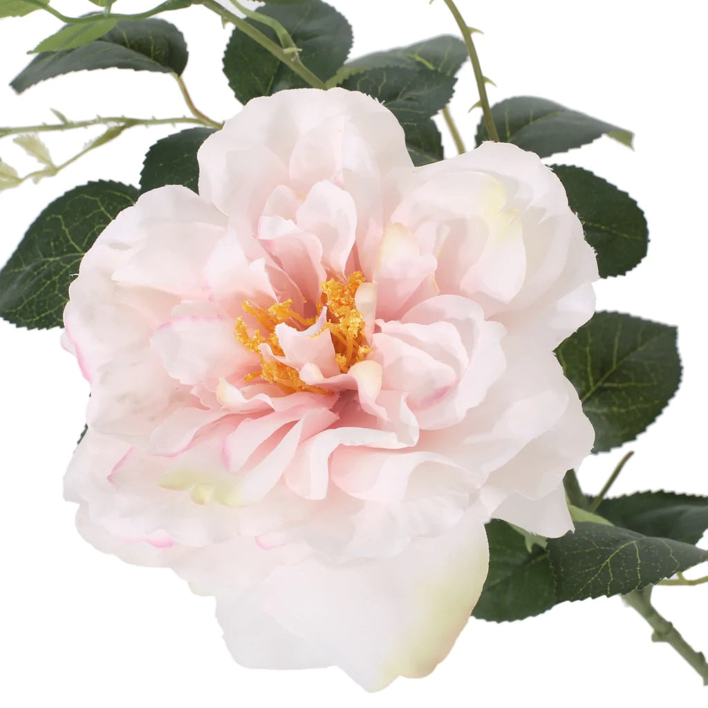 Bergweg 3.8' x 2' Artificial Rose Tree