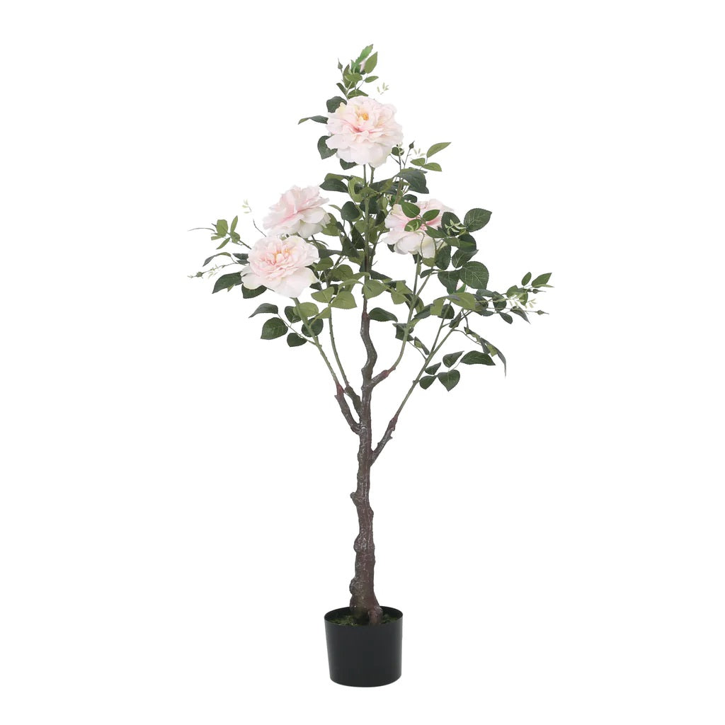 Bergweg 3.8' x 2' Artificial Rose Tree