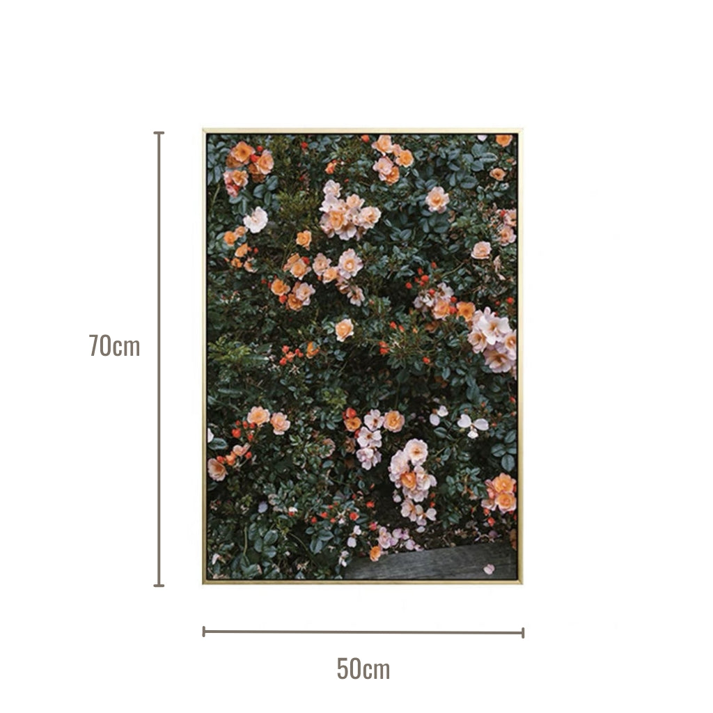 Enchanting Rose Blossom