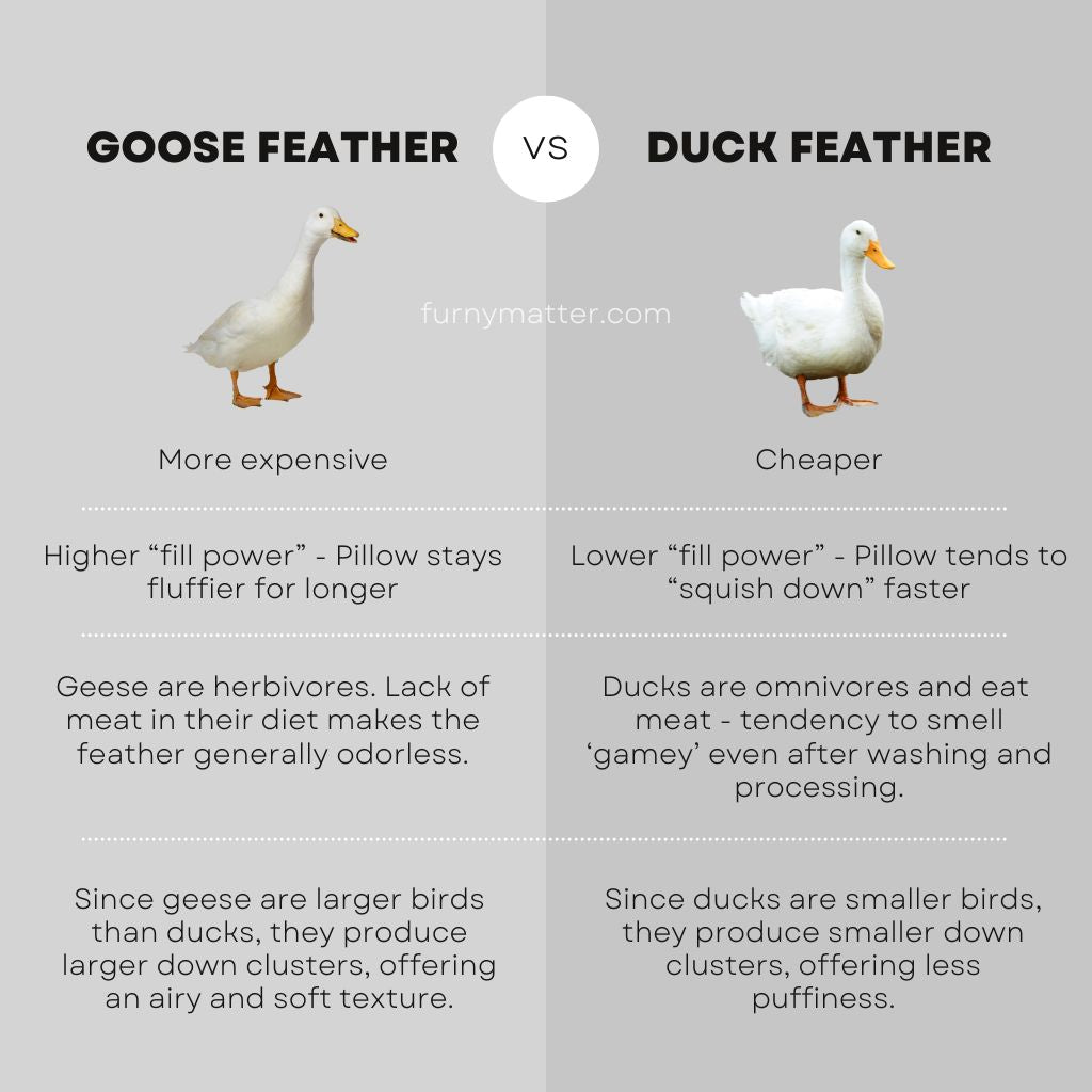 Goose Down Feather Throw Pillow Insert 50cm x 50cm (Set of 2)