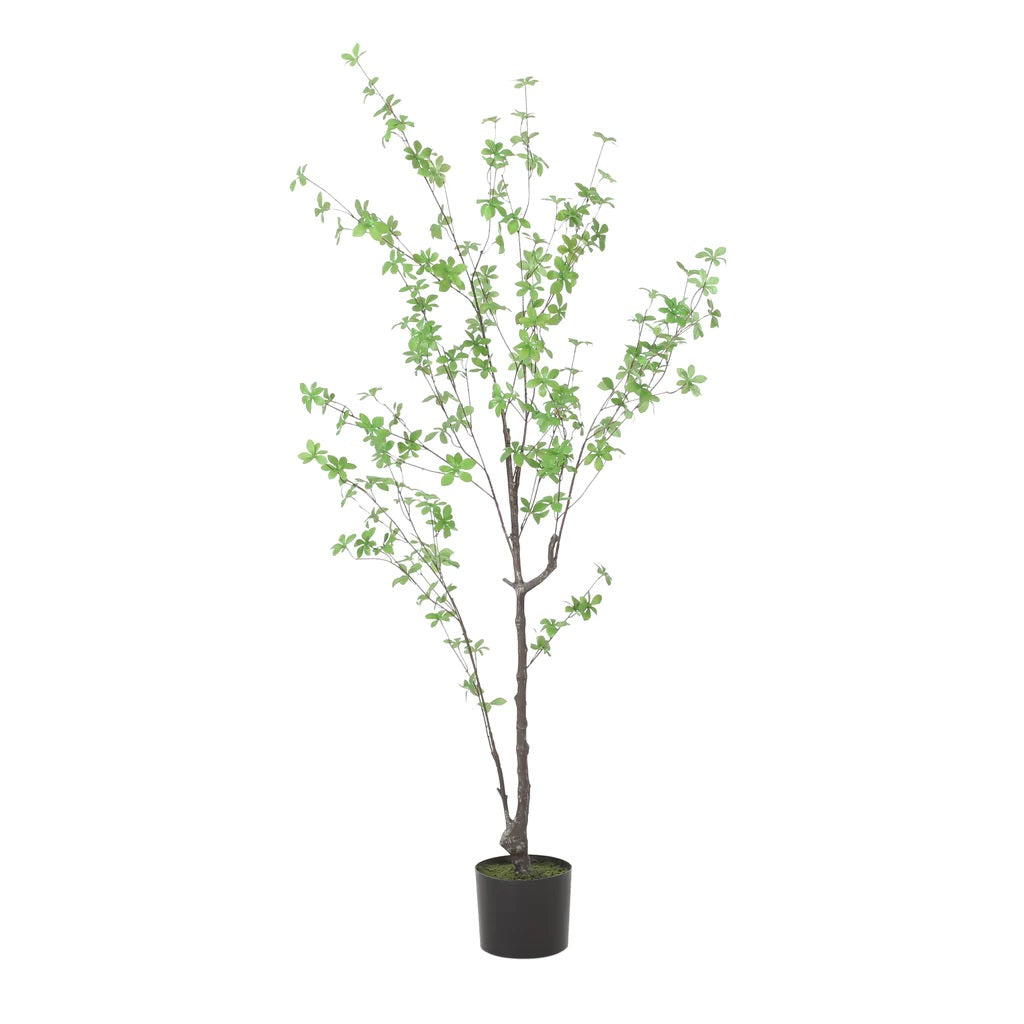 Monadnock 4' x 2.5' Artificial Enkianthus Tree