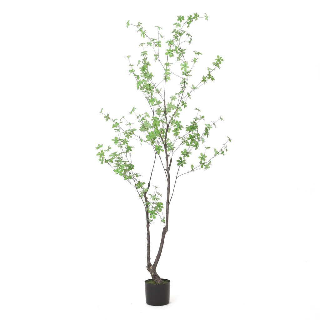 Monadnock 4' x 2.5' Artificial Enkianthus Tree