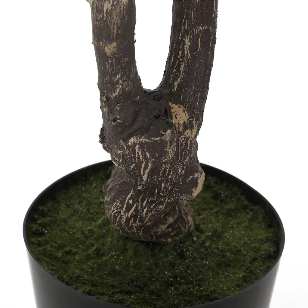 Monadnock 4' x 2.5' Artificial Enkianthus Tree