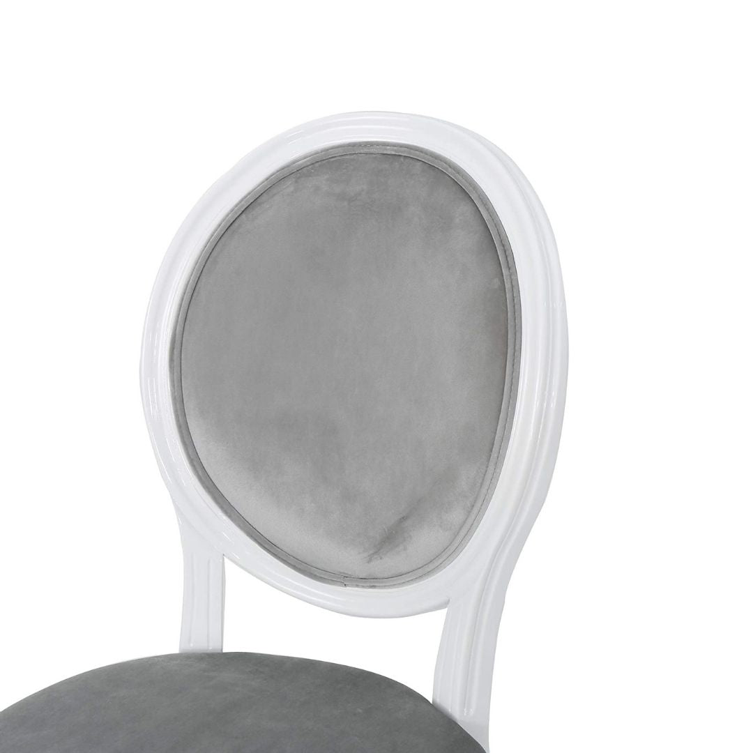 Phinnaeus Contemporary Velvet Dining Chairs (Set of 2)