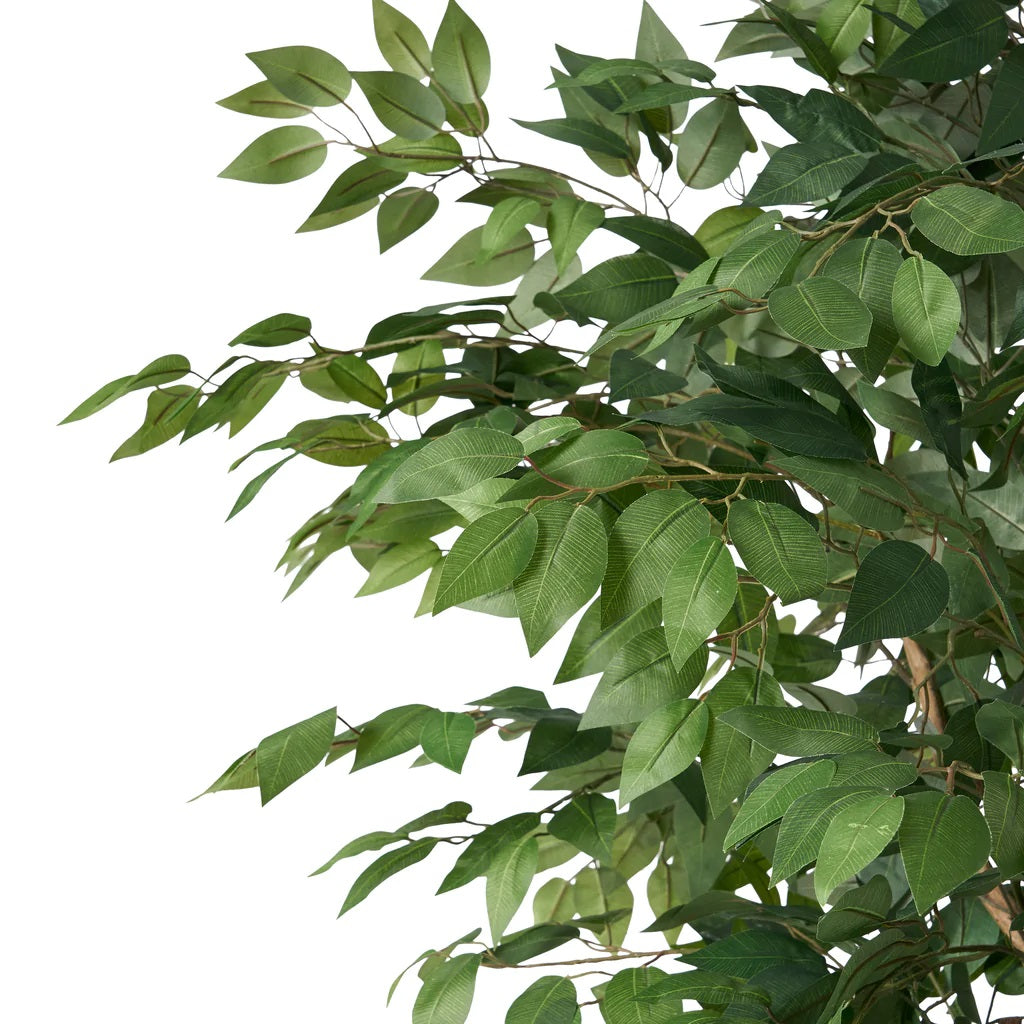 Wasco 4' x 2' Artificial Ficus Tree