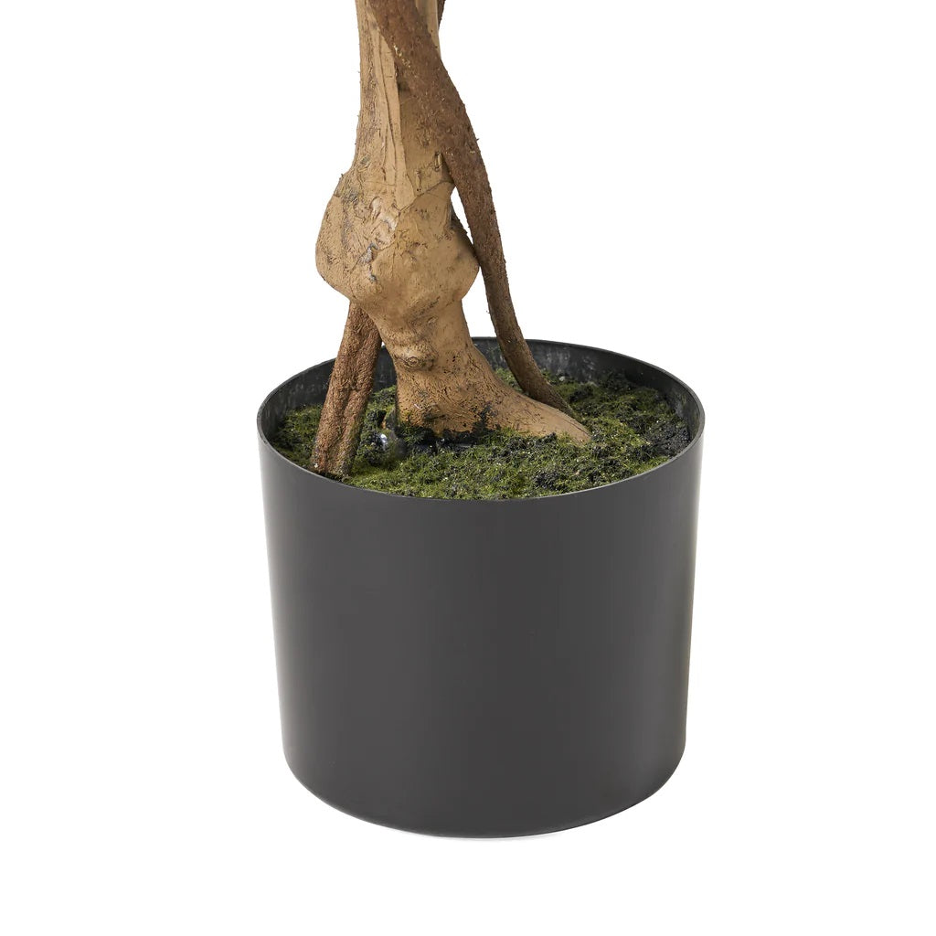 Wasco 4' x 2' Artificial Ficus Tree