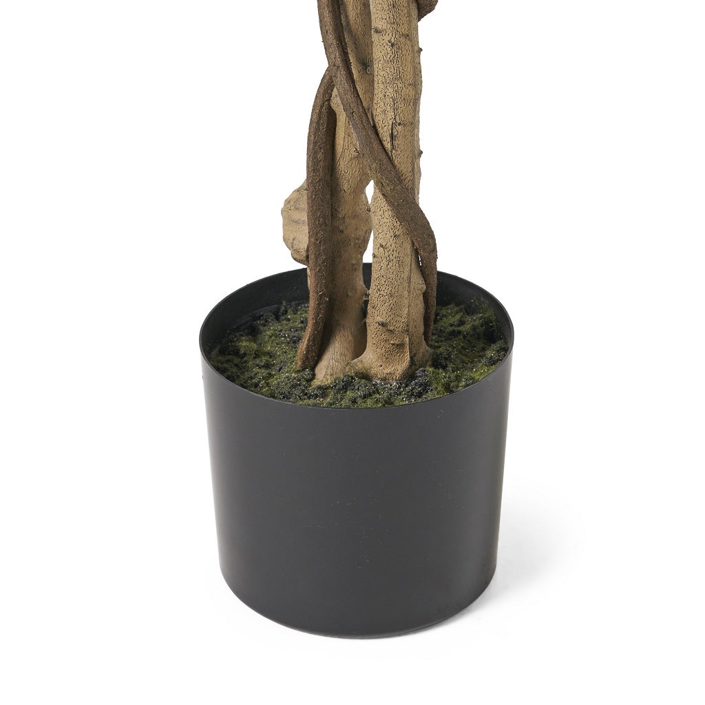 Wasco 5' x 2.5' Artificial Ficus Tree