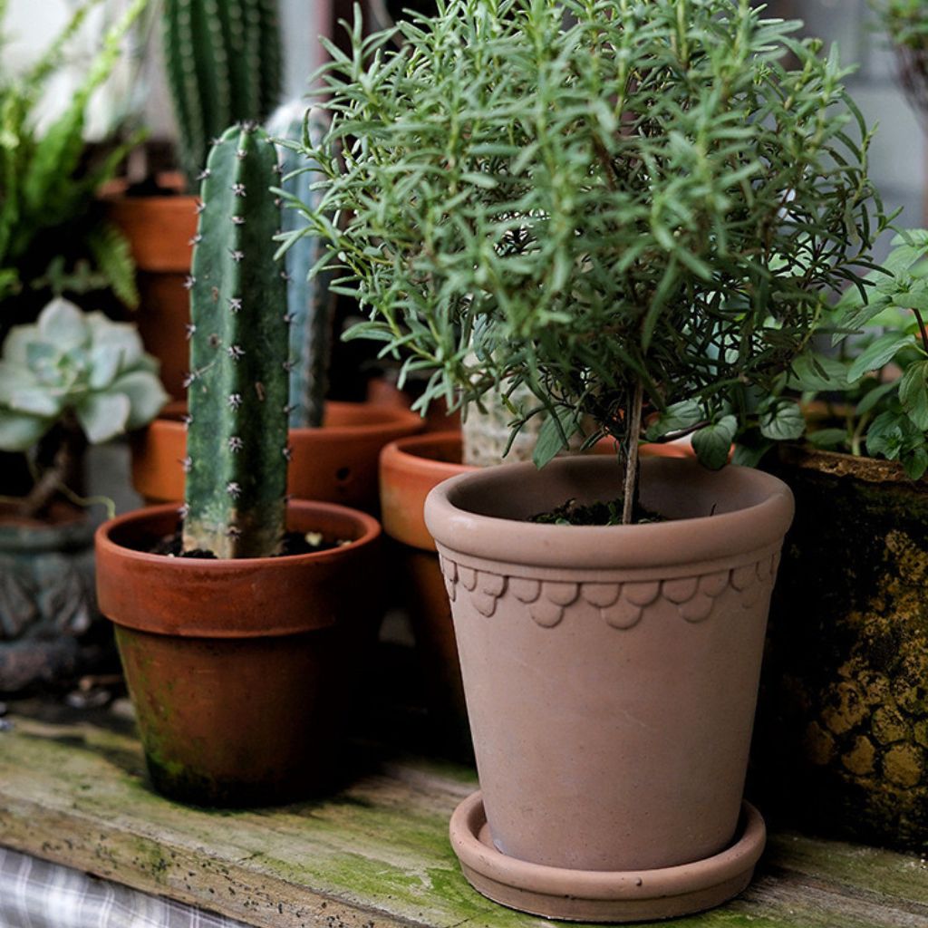 Weathered Brown Roman Concrete Planter Pot