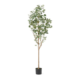 Adair 6' x 2.5' Artificial Eucalyptus Tree