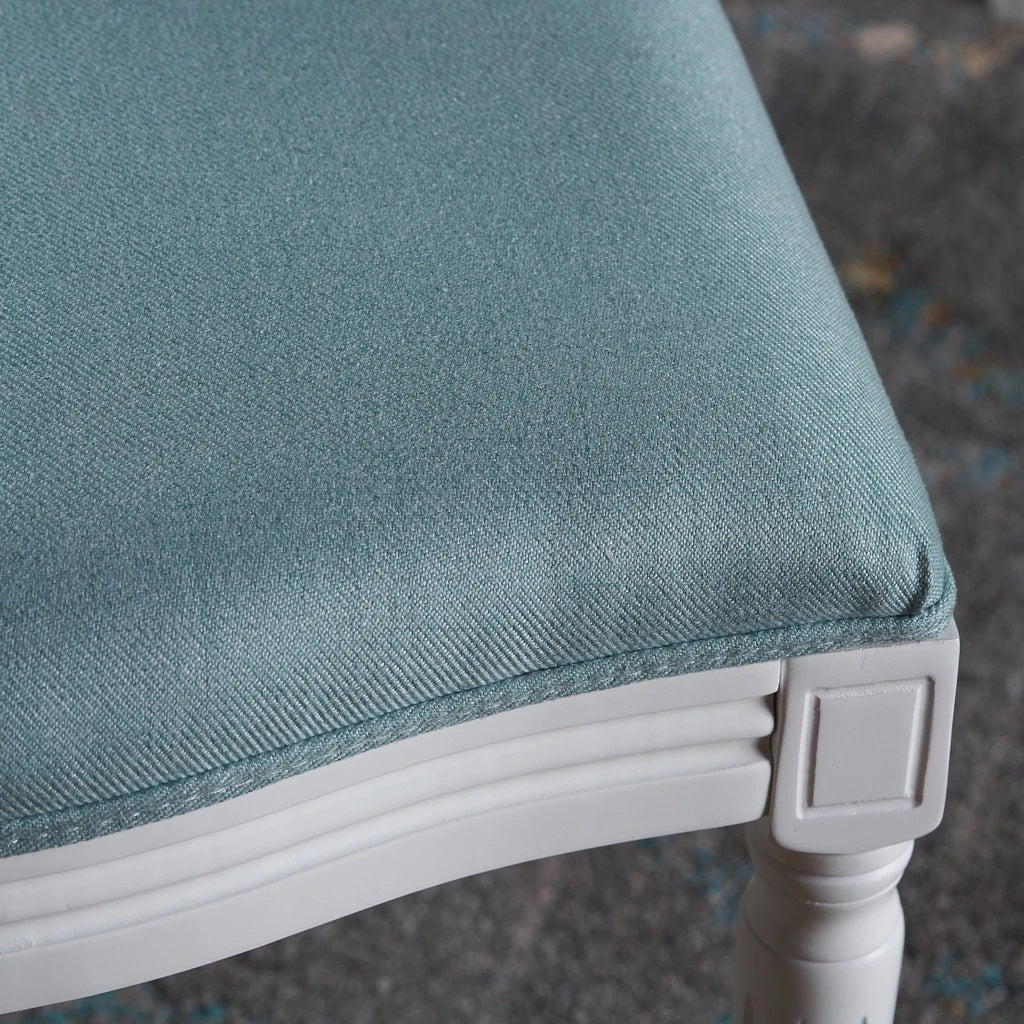 Adelise Traditional Light Blue Upholstered Fabric Dining Chairs (Set of 2)