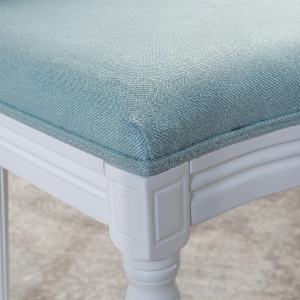 Adelise Traditional Light Blue Upholstered Fabric Dining Chairs (Set of 2)