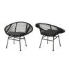 Aleah Outdoor Woven Faux Rattan Chairs with Cushions (Set of 2)