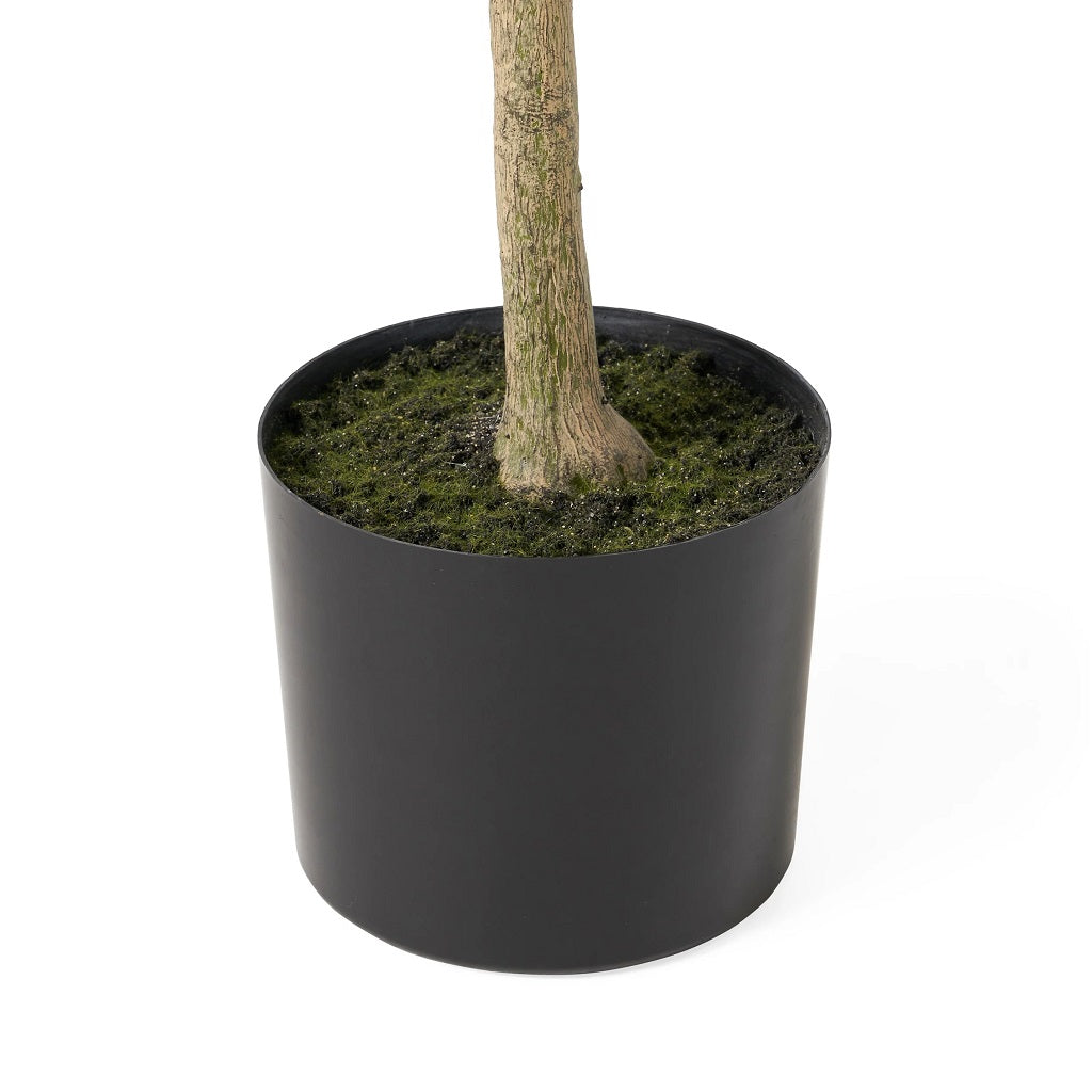 Atoka Artificial Olive Tree