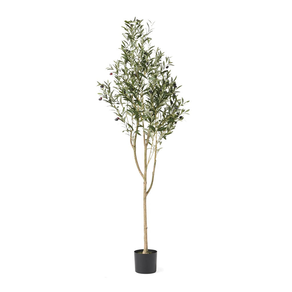 Atoka Artificial Olive Tree
