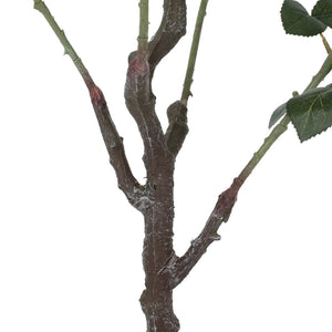 Bergweg 3.8' x 2' Artificial Rose Tree
