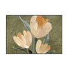 Blooming Tulips Framed Print