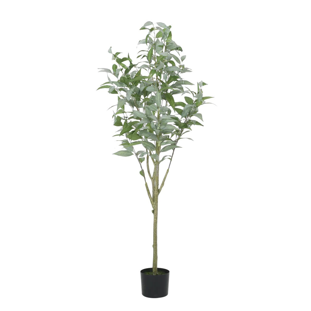 Bowrun 6.5' x 2.8' Artificial Eucalyptus Leaf Tree