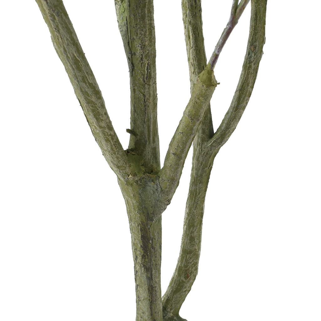 Bowrun 6.5' x 2.8' Artificial Eucalyptus Leaf Tree