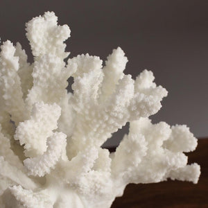 Cluster Coral on Faux Marble Base