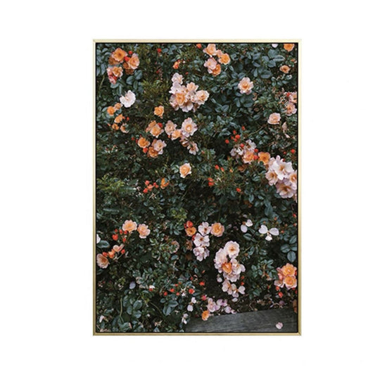 Enchanting Rose Blossom