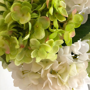 Faux Green and White Hydrangea in Glass Vase