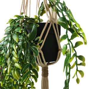 Faux Potted Wandering Jew with Macrame Plant Hanger