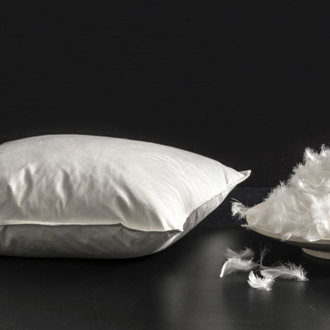 Image of Goose Down Feather Throw Pillow Insert 45cm x 45cm (Set of 2)