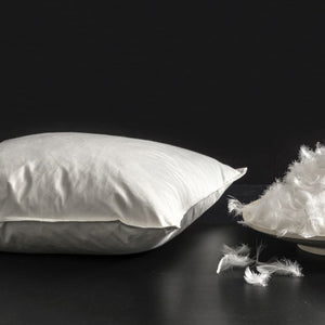 Goose Down Feather Throw Pillow Insert 45cm x 45cm (Set of 2)