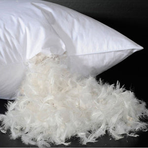 Goose Down Feather Throw Pillow Insert 45cm x 45cm (Set of 2)