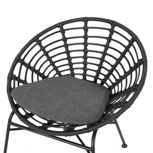 Keegan Outdoor Wicker Dining Chair with Cushion (Set of 2)