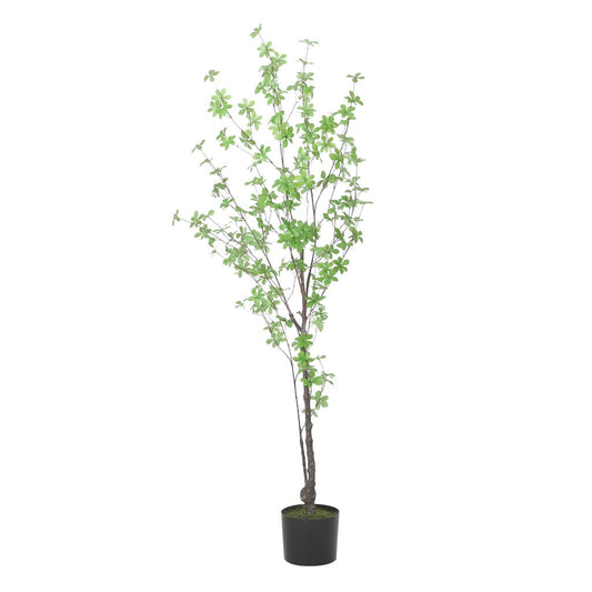 Monadnock 4' x 2.5' Artificial Enkianthus Tree