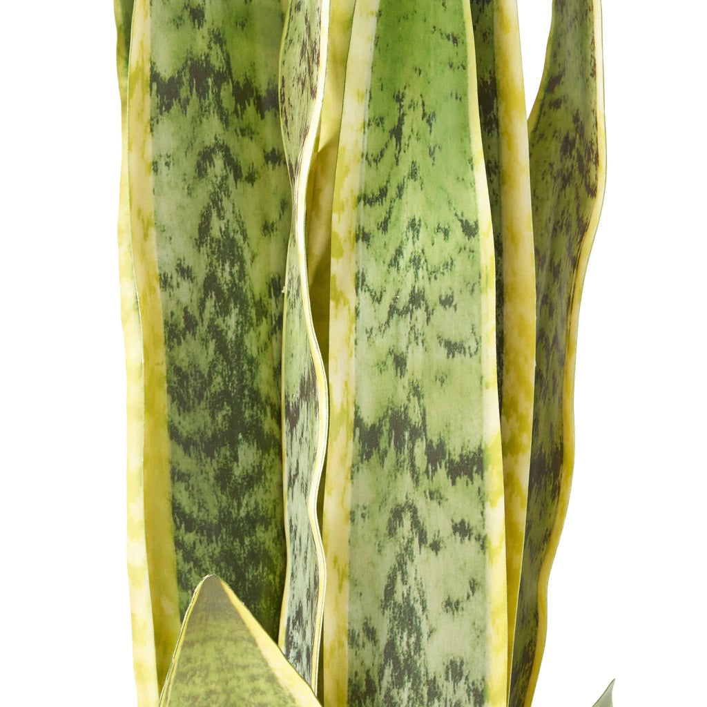 Morrow Artificial Tabletop Snake Plant, Green