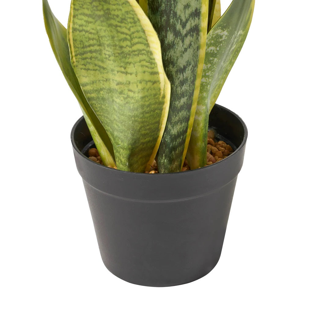 Morrow Artificial Tabletop Snake Plant, Green