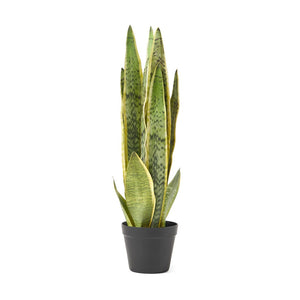 Morrow Artificial Tabletop Snake Plant, Green