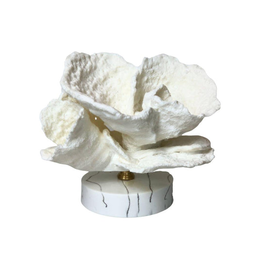 Petal Coral on Faux Marble Base