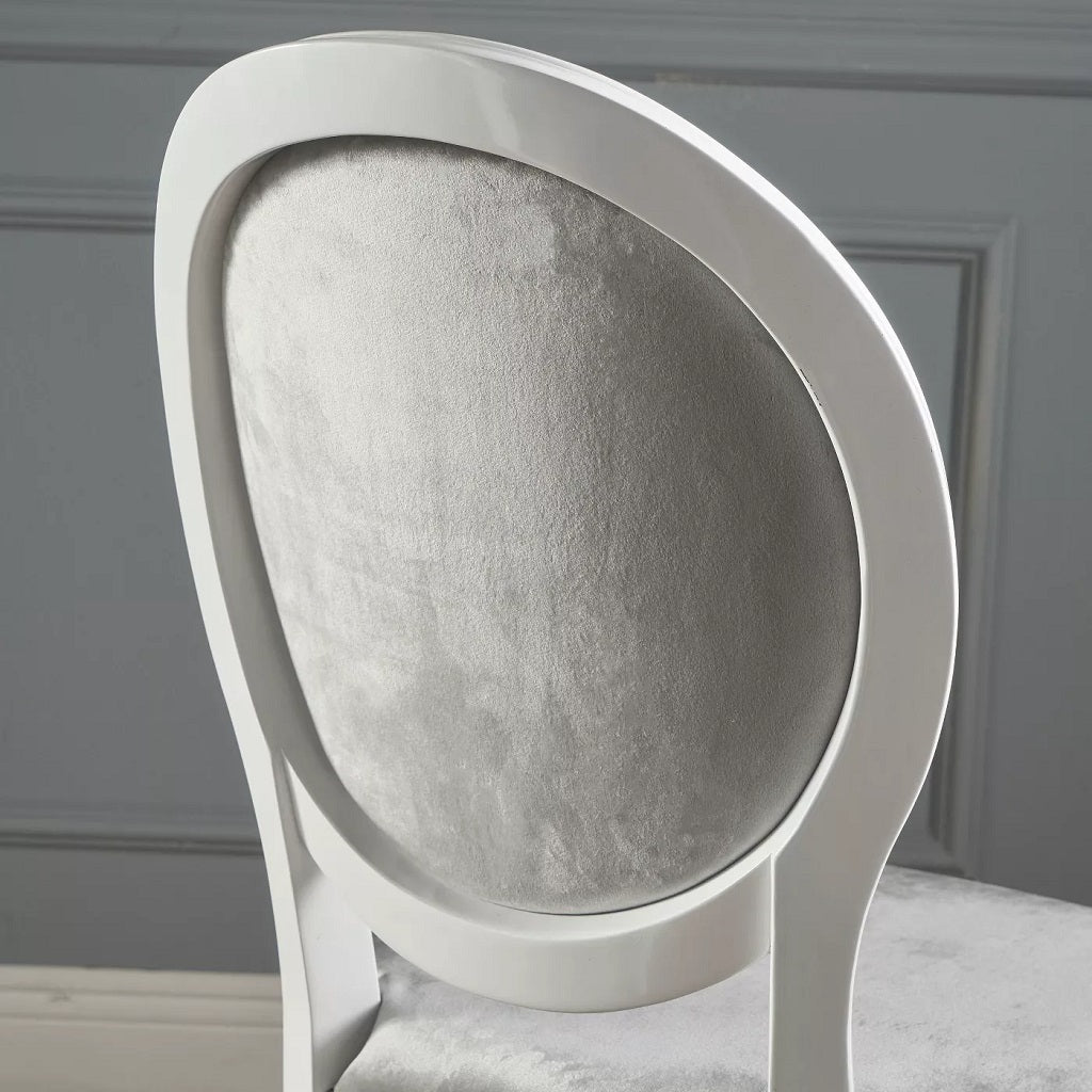Phinnaeus Contemporary Velvet Dining Chairs (Set of 2)