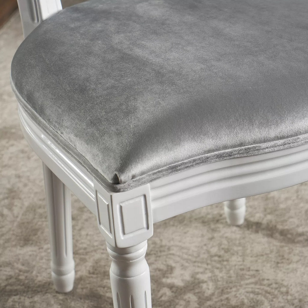 Phinnaeus Contemporary Velvet Dining Chairs (Set of 2)