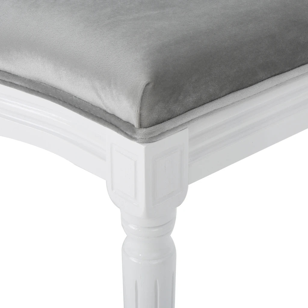 Phinnaeus Contemporary Velvet Dining Chairs (Set of 2)