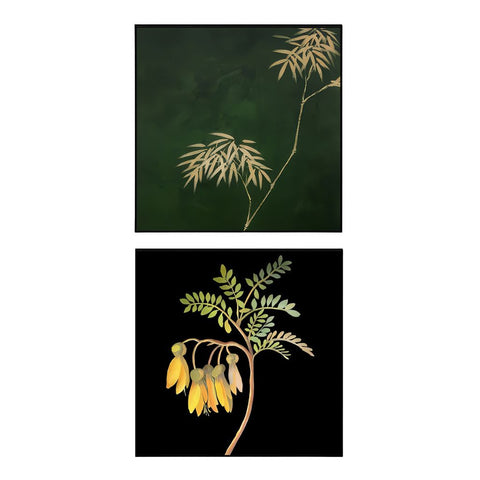 Image of Vintage Bamboo and Kowhai Framed Print (Set of 2)