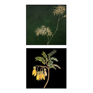 Vintage Bamboo and Kowhai Framed Print (Set of 2)