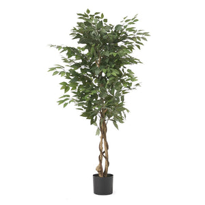 Wasco 5' x 2.5' Artificial Ficus Tree