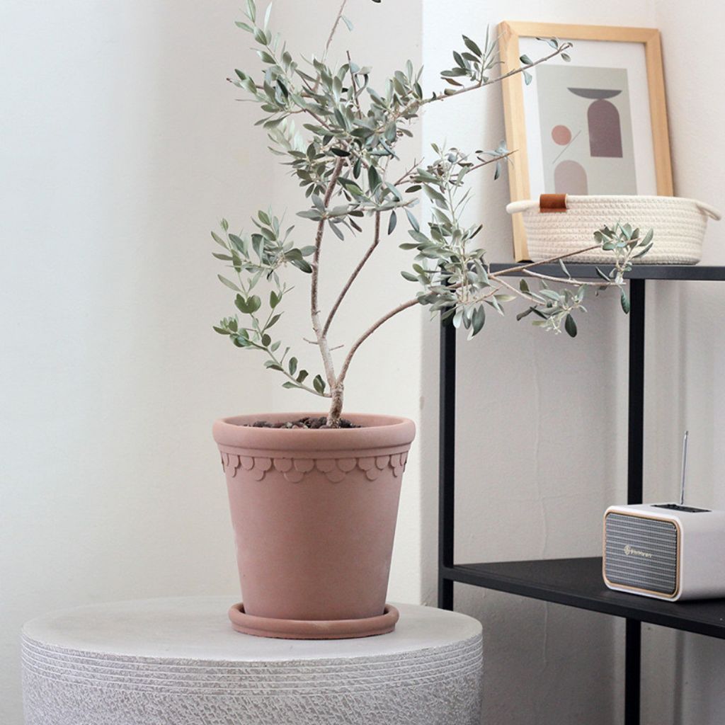 Weathered Brown Roman Concrete Planter Pot